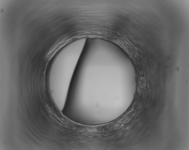 X0000087050194200704181010