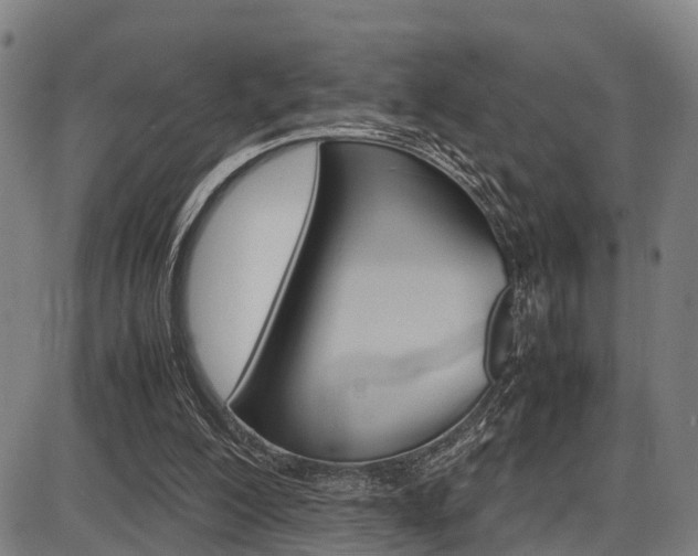X0000087050200200704181010