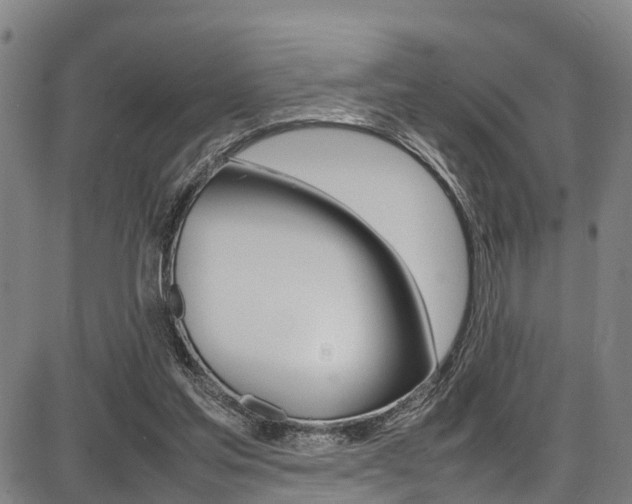 X0000087050205200704181010