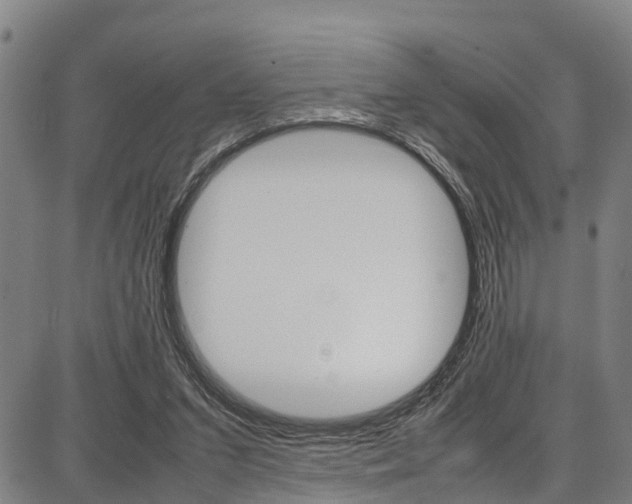 X0000087050207200704181010