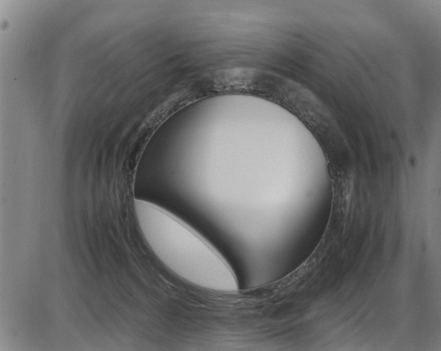 X0000087050224200704181010