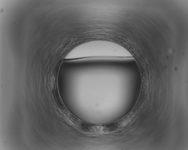 X0000087050227200704181010