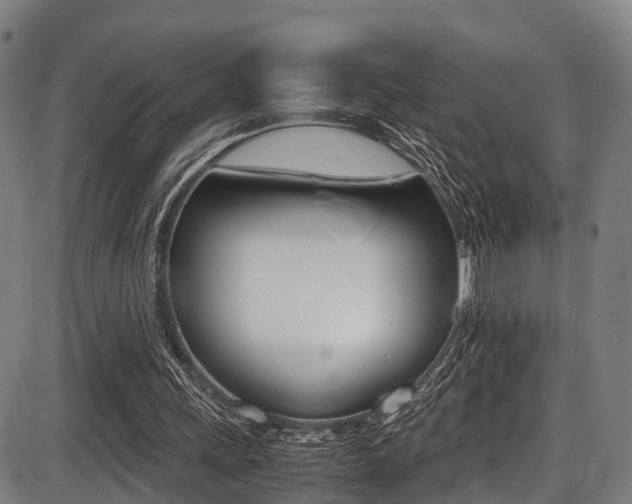 X0000087050243200704181009