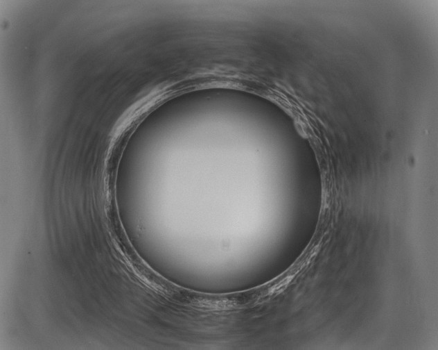 X0000087050245200704181009