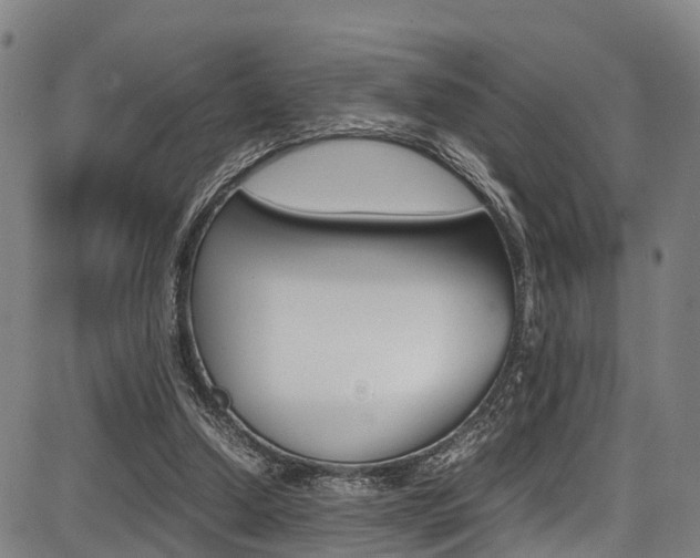 X0000087050250200704181009