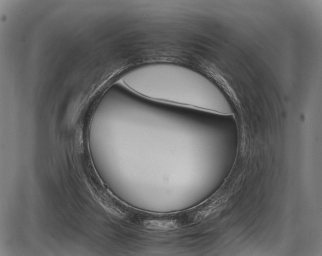 X0000087050251200704181009