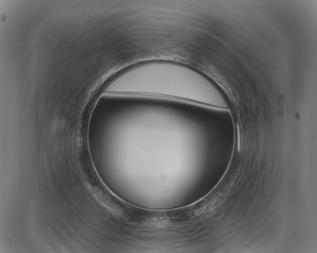 X0000087050252200704181009