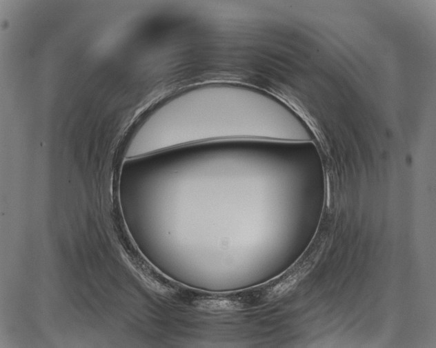 X0000087050253200704181009