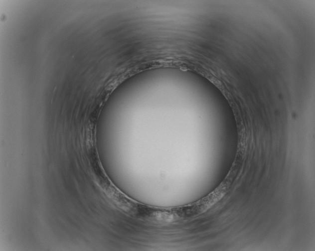 X0000087050272200704181009