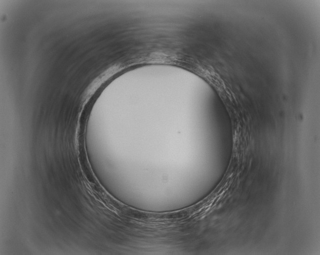 X0000087050292200704181009