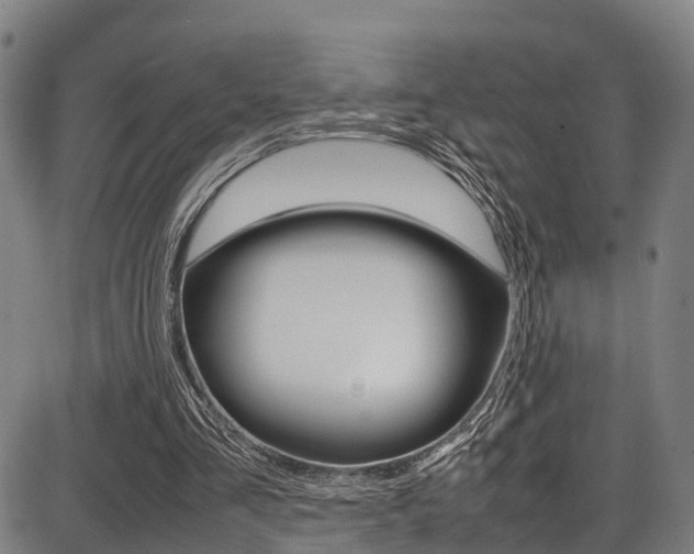 X0000087050293200704181009