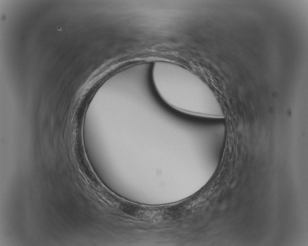 X0000087050295200704181009