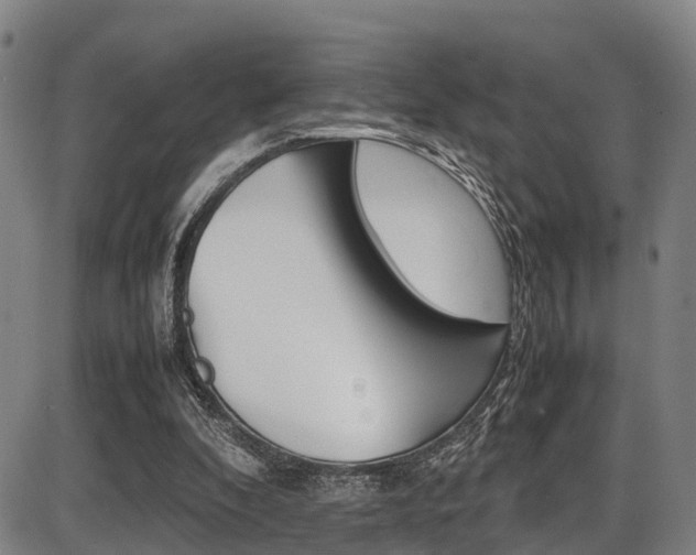 X0000087050296200704181009