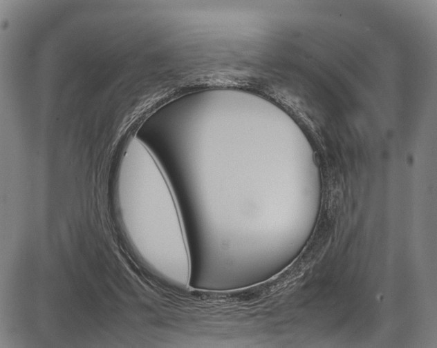 X0000087050299200704181009