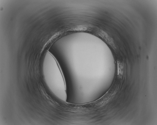 X0000087050300200704181009