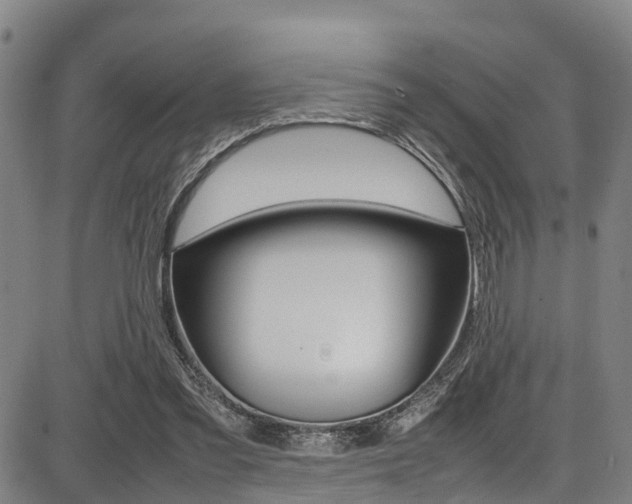 X0000087050301200704181009