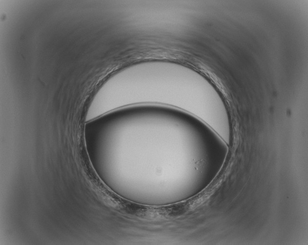 X0000087050305200704181009