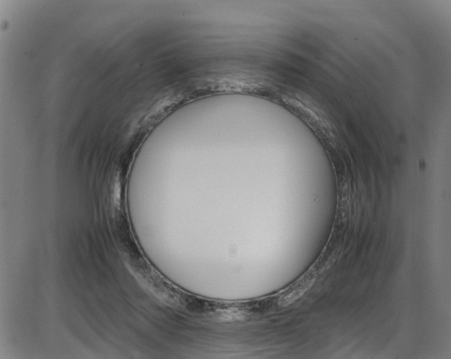X0000087050310200704181009