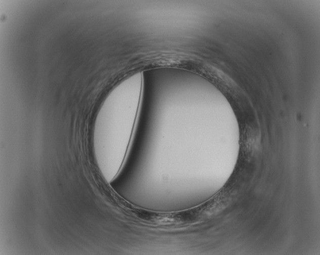 X0000087050315200704181009