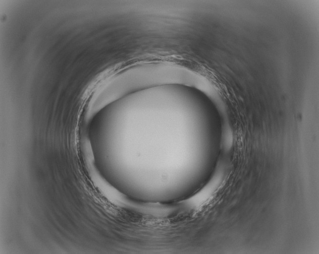 X0000087050340200704181007