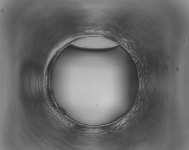 X0000087050342200704181007