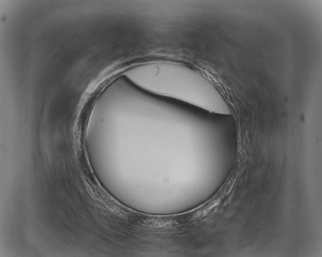 X0000087050343200704181008