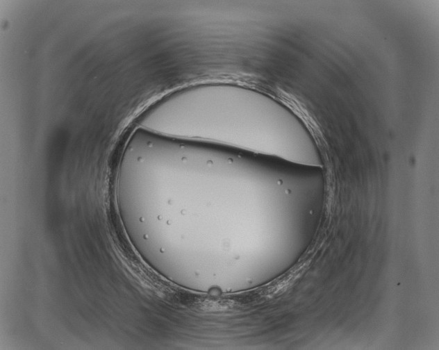 X0000087050346200704181008
