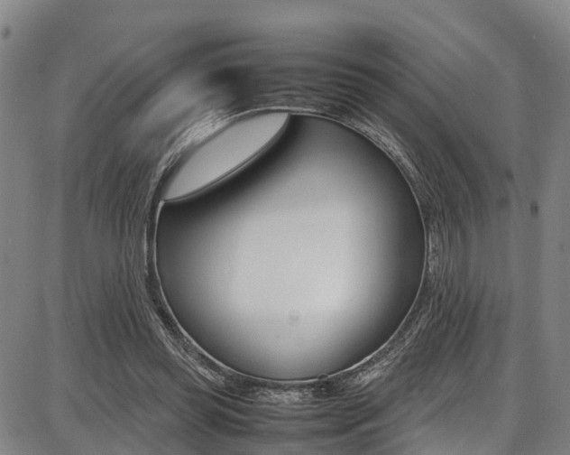 X0000087050349200704181008