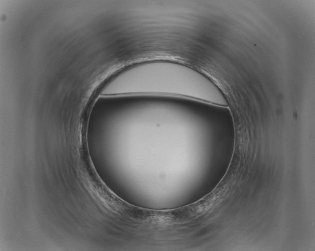 X0000087050350200704181008