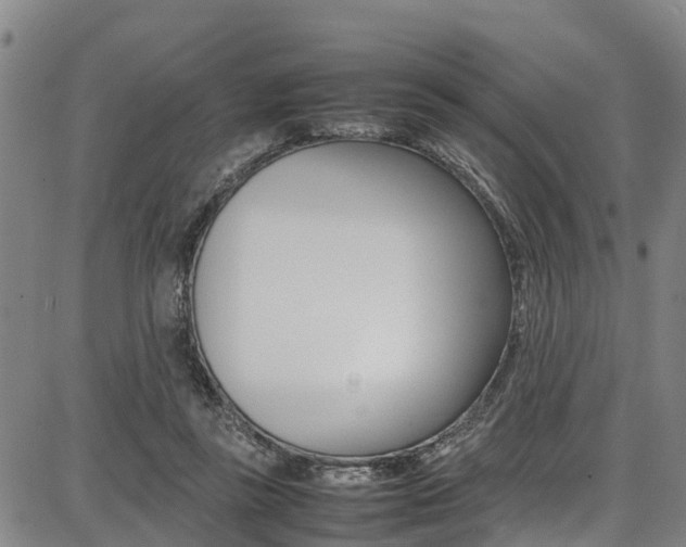 X0000087050355200704181008