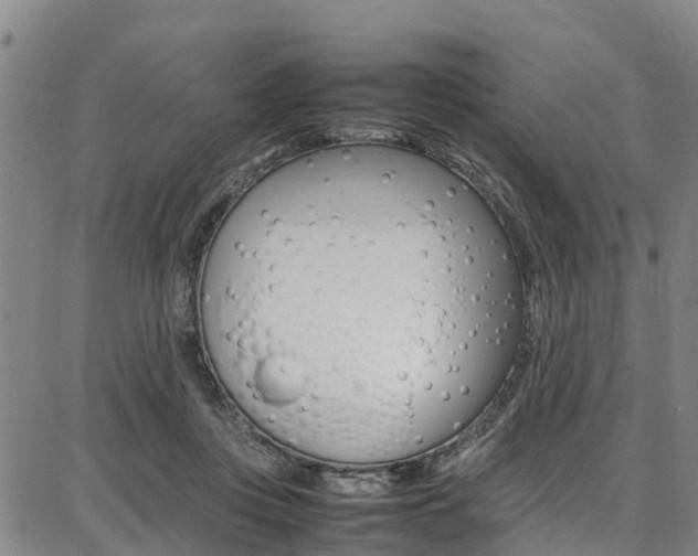 X0000087050359200704181008
