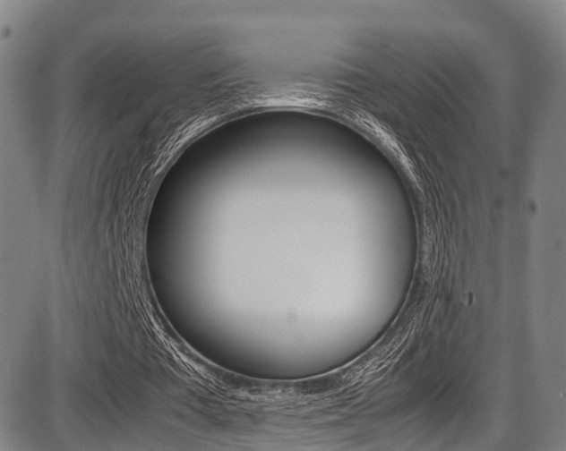 X0000087050385200704181007