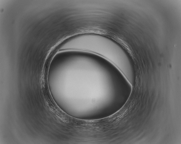 X0000087050388200704181007