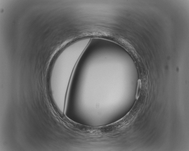 X0000087050395200704181007
