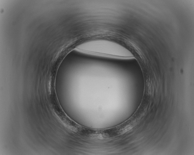 X0000087050404200704181007