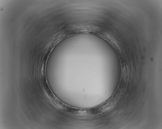 X0000087050406200704181007