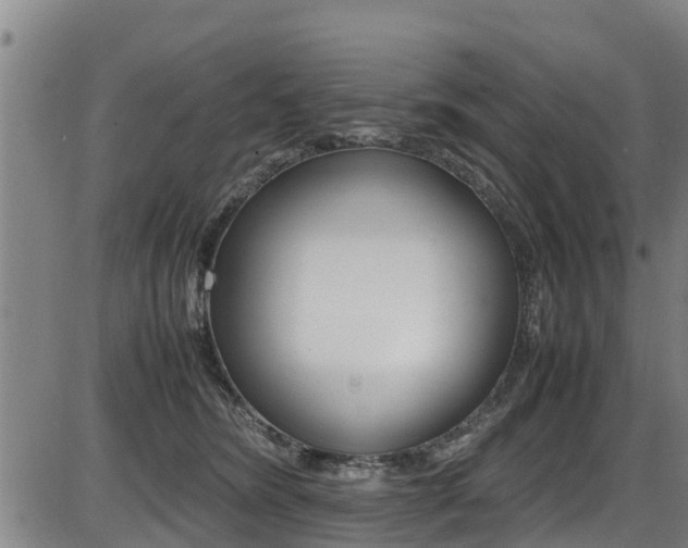 X0000087050420200704181007