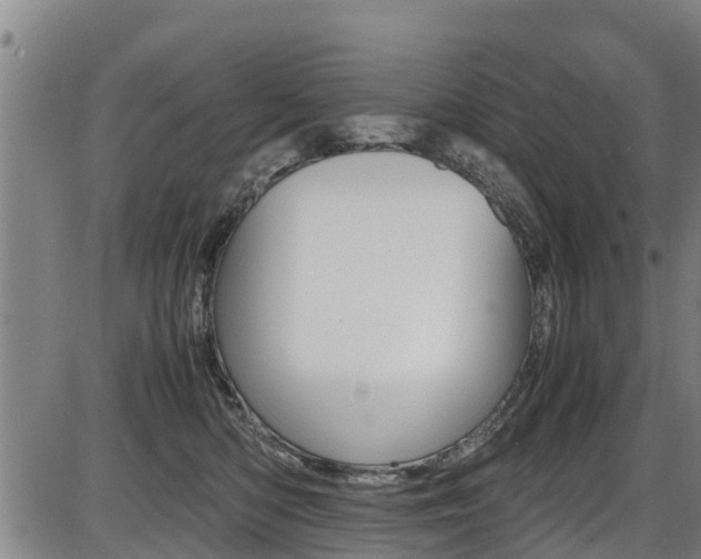 X0000087050422200704181007