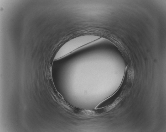 X0000087050429200704181007