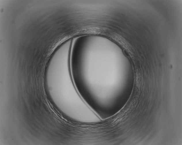 X0000087050434200704181006