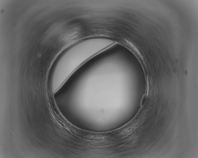X0000087050435200704181006