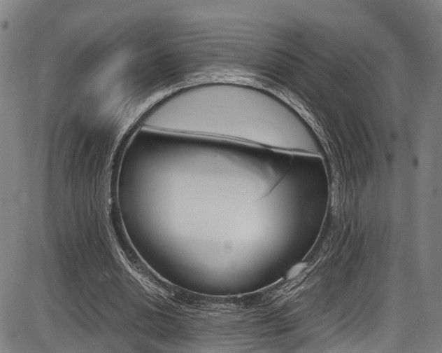 X0000087050438200704181006