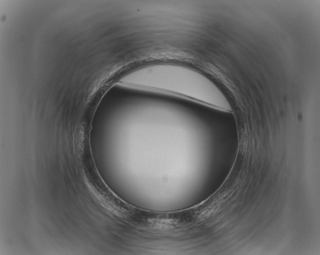 X0000087050448200704181006
