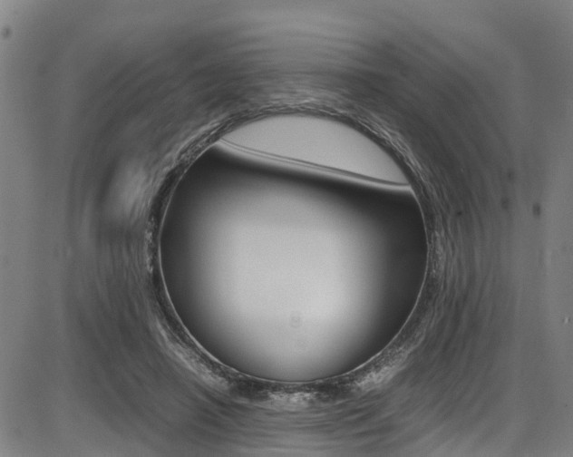 X0000087050450200704181006