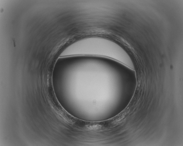 X0000087050452200704181006