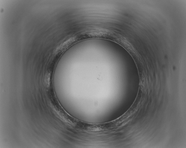 X0000087050454200704181006