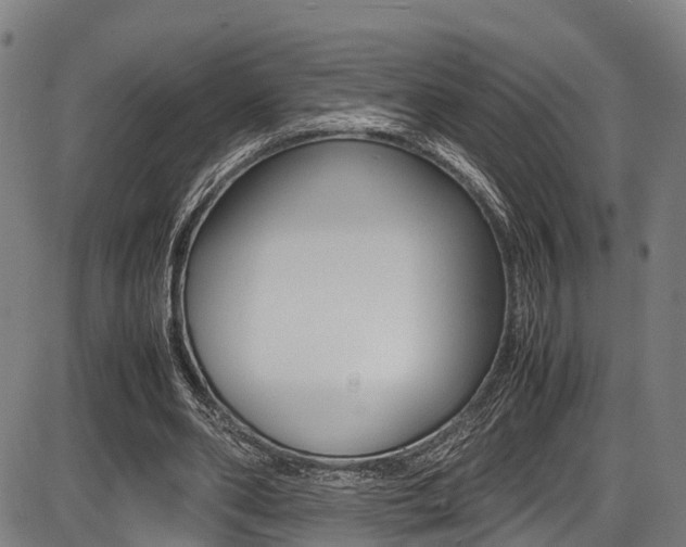 X0000087050486200704181006