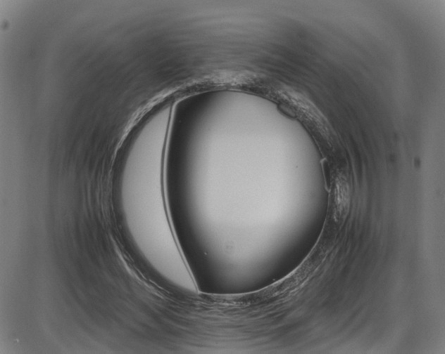 X0000087050492200704181006