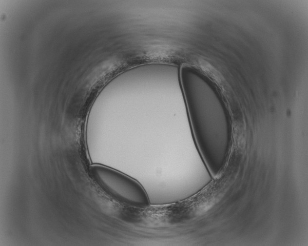 X0000087050495200704181006