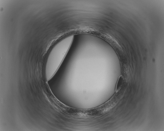 X0000087050496200704181006